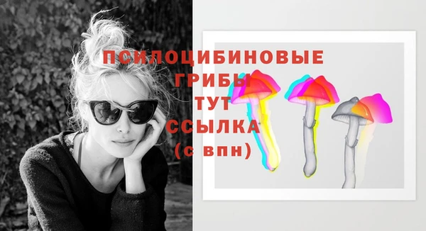 стафф Волосово