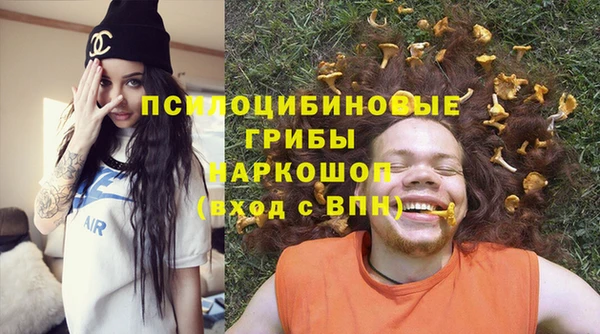 стаф Володарск