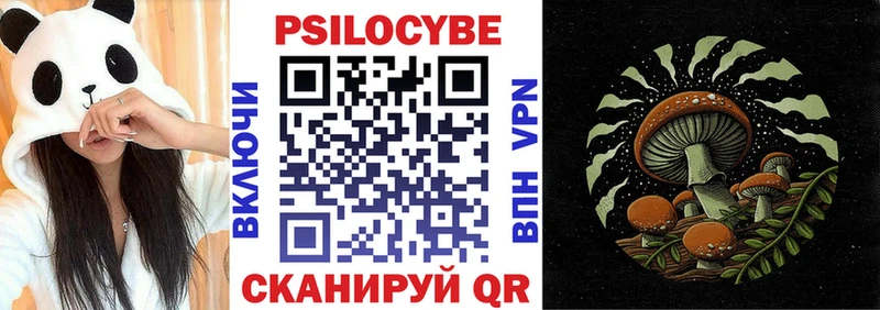 продажа наркотиков  даркнет клад  Галлюциногенные грибы Cubensis  Камышин 